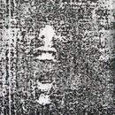 halott